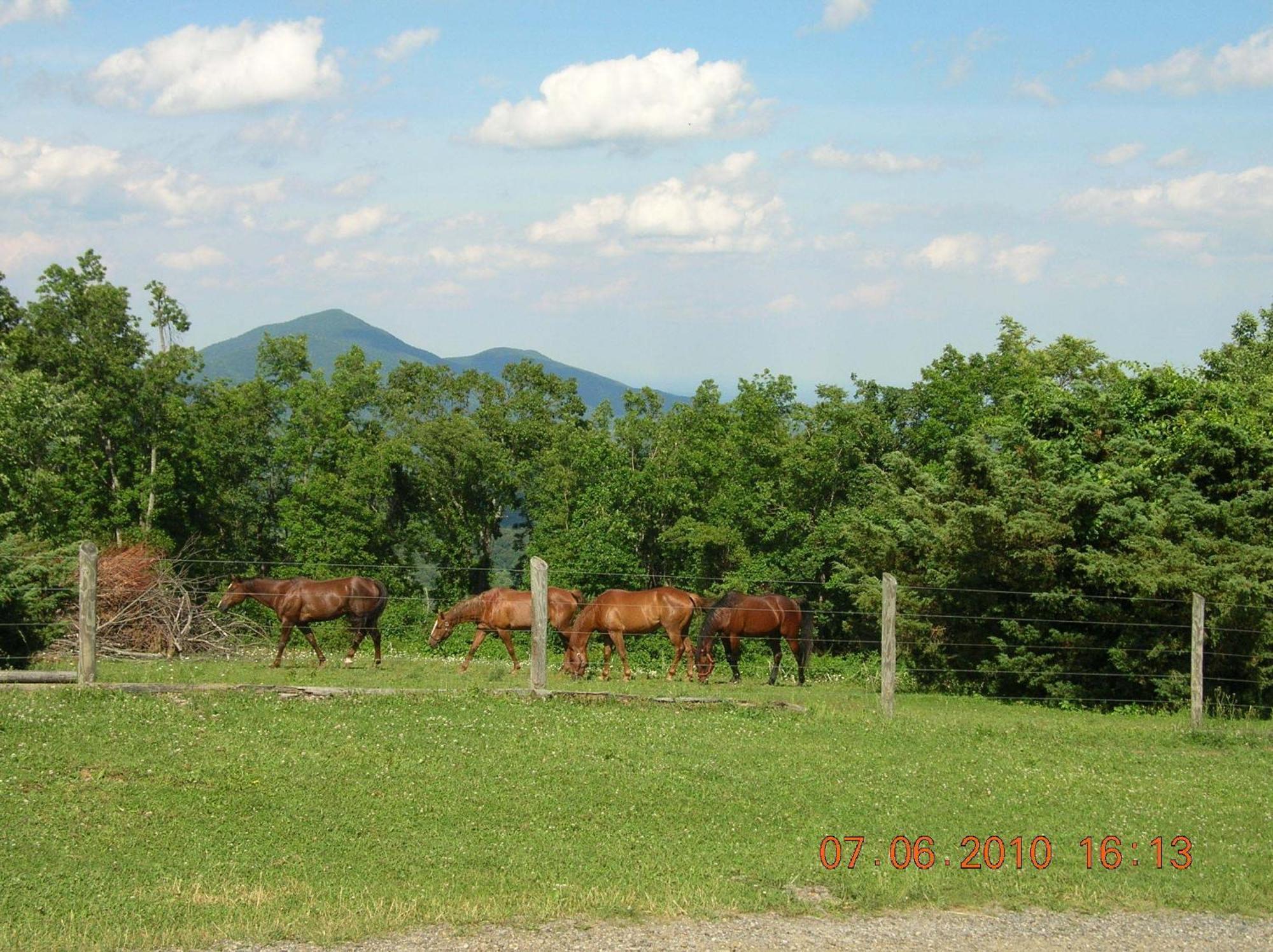 Bent Mountain Lodge Roanoke Exterior foto